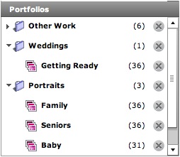 Create up to three portfolio sections.